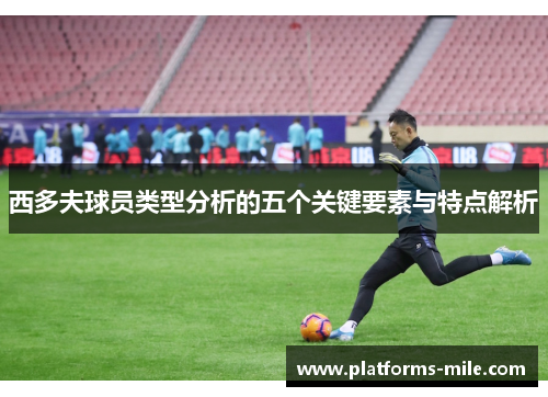 西多夫球员类型分析的五个关键要素与特点解析