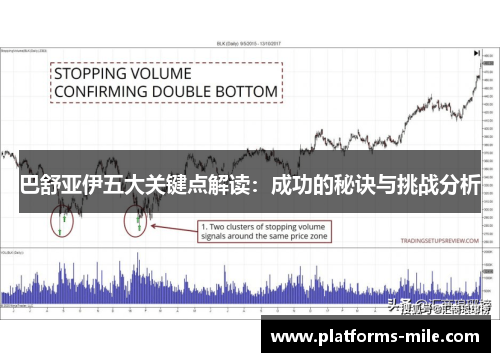 巴舒亚伊五大关键点解读：成功的秘诀与挑战分析