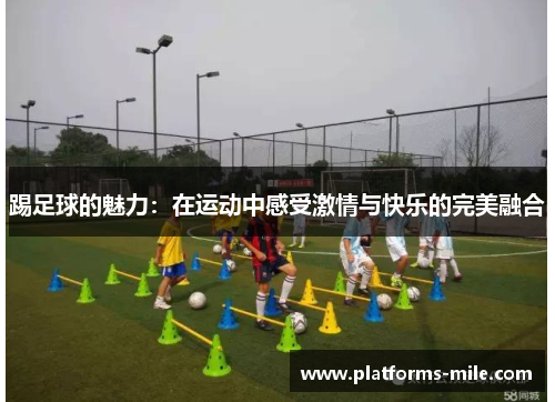 踢足球的魅力:在运动中感受激情与快乐的完美融合 踢足球的魅力:在运动中感受激情与快乐的完美融合
