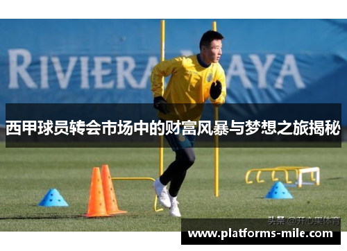 西甲球员转会市场中的财富风暴与梦想之旅揭秘 西甲球员转会市场中的财富风暴与梦想之旅揭秘